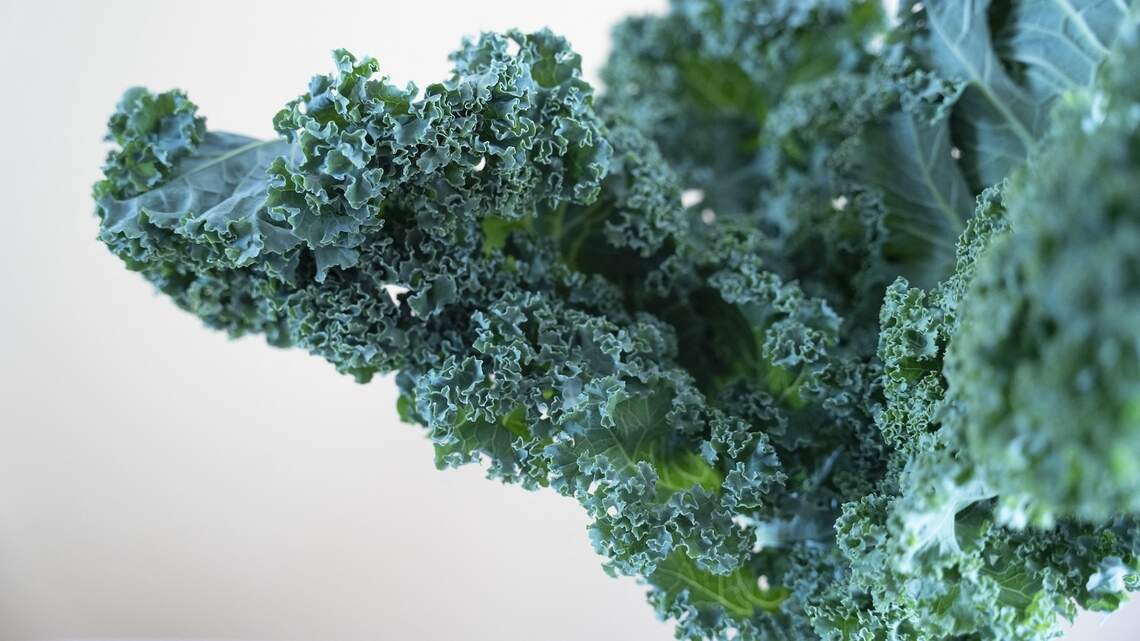 Greens gummies reviews 2026: What real customers say about 5 popular brand options today