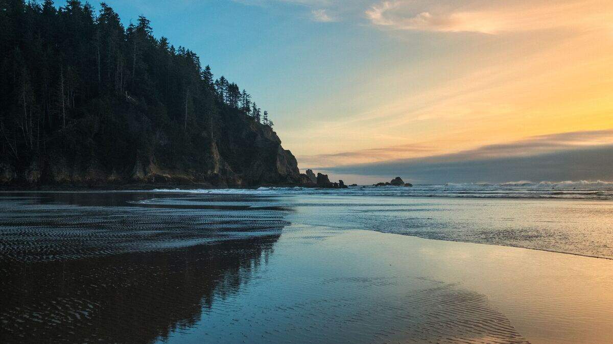 Gray whales were seen swimming of the coast of Oregon, according to Seaside Aquarium.