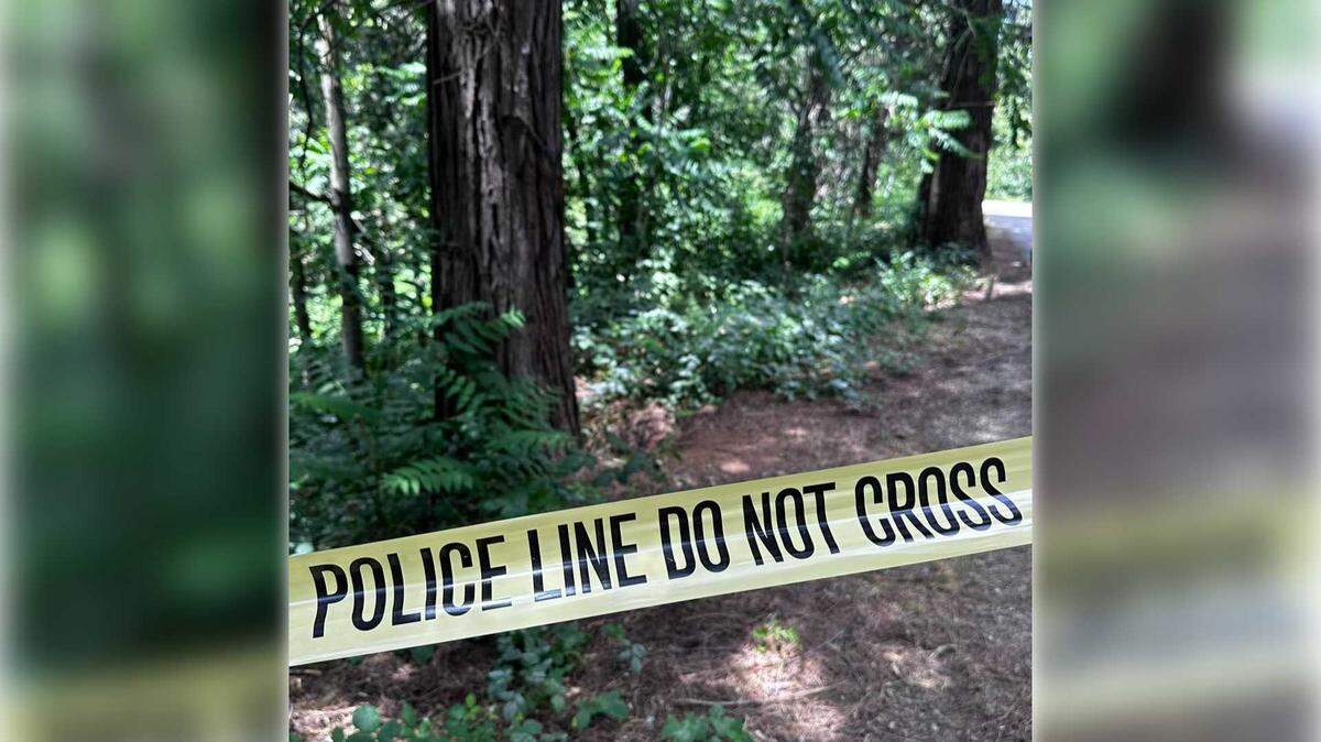 A wooded area between Sutton Way and Brunswick Road is shown in this photo provided by the Grass Valley Police Department on Monday, Feb. 23, 2026, after an adult man was found dead.
