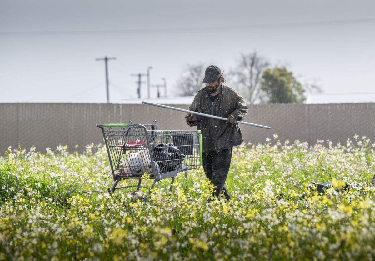 Bernabe Mier, an unhoused resident of south Sacramento, collects garbage on March 22 near the vacant tiny homes that were installed last summer. The project was initially delayed due to community pushback and miscommunication.