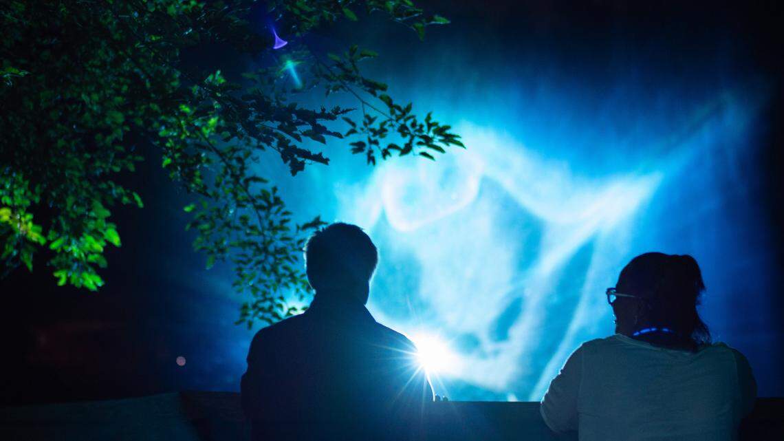 Sacramento Zoo brings back extinct animals with immersive light displays, illusions