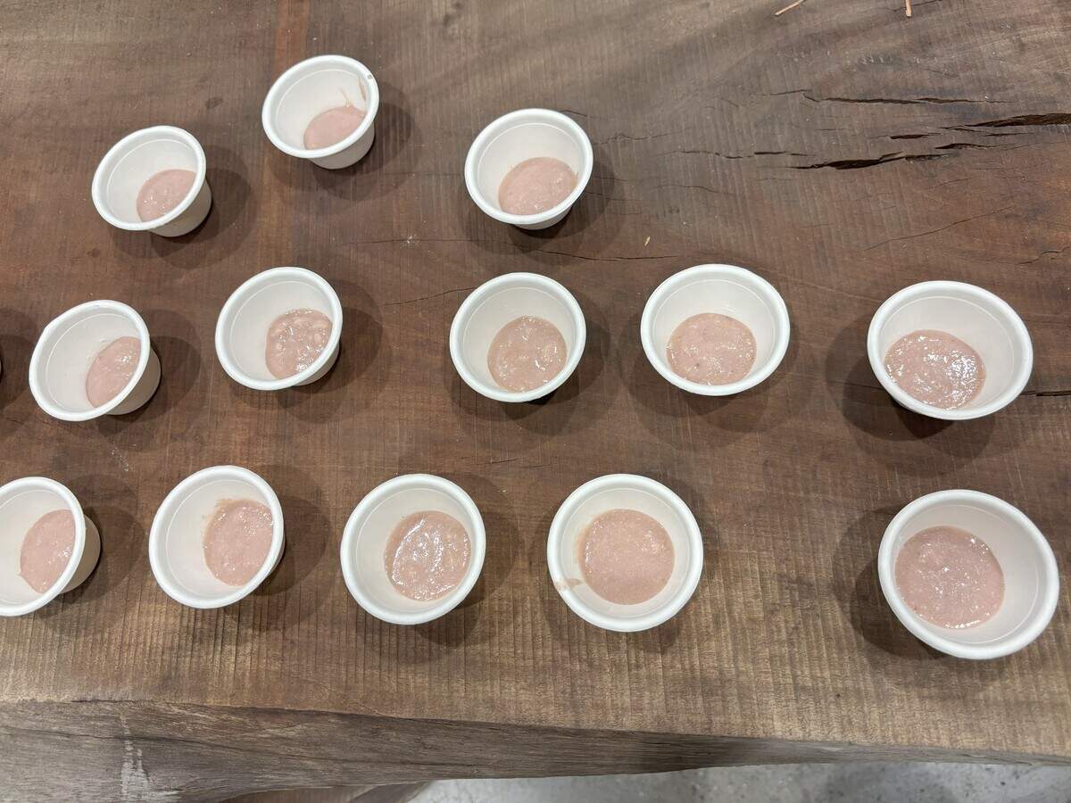 Acorn soup was passed out to attendees of the Fireside Chat & Acorn Tasting at the Terra Madre Americas event in Sacramento.