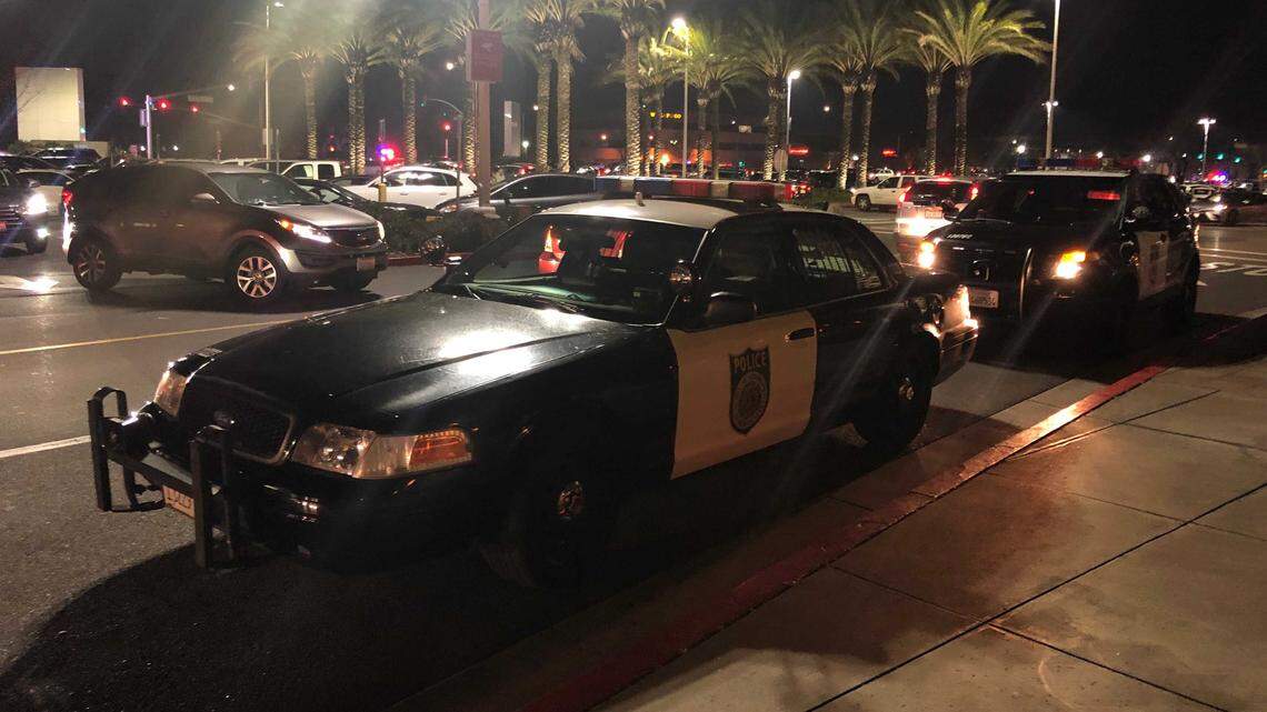 According to police spokesman Sgt. Vance Chandler, officers were called to Arden Fair just before 6 p.m. for a large group of youths causing a disturbance inside the mail.