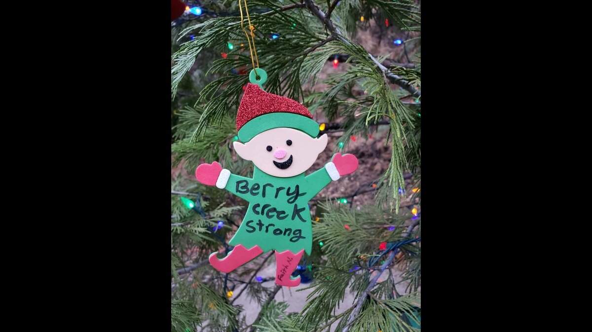 A resident donated a replacement community Christmas tree for Berry Creek, decorated with ornaments made by students at Berry Creek Elementary, after the original tree was stolen, the Butte County Sheriff’s Office says.