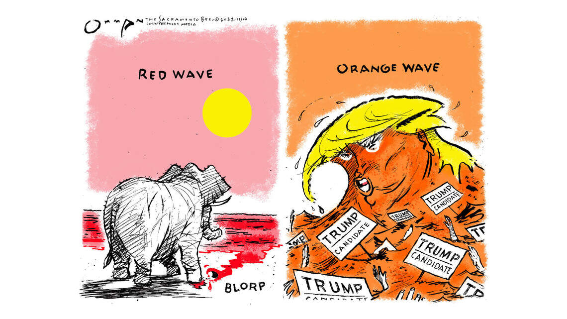 Jack Ohman: Permanent wave ...