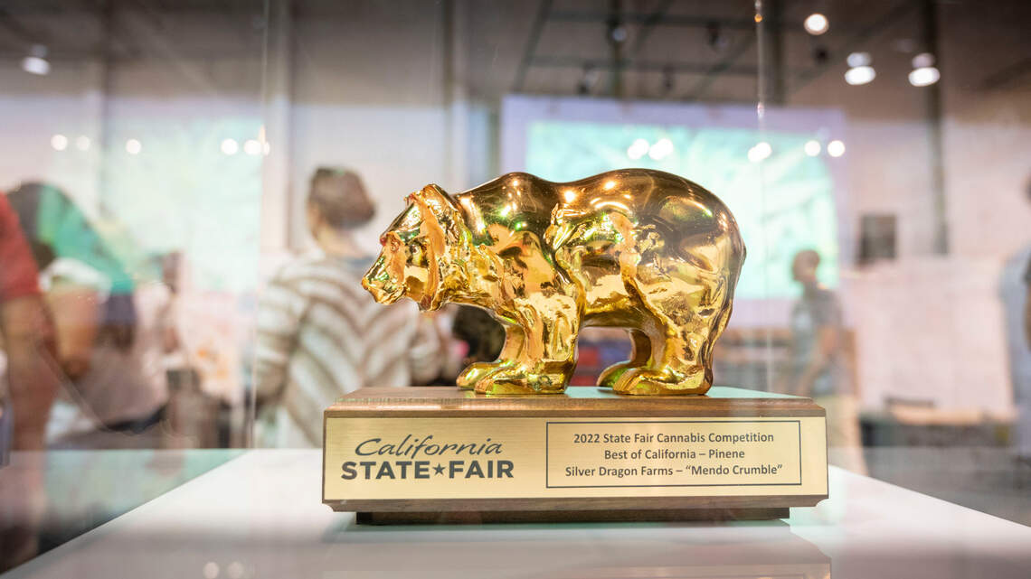 State Fair cannabis exhibit draws big crowds. Vendors hope consumption might come next