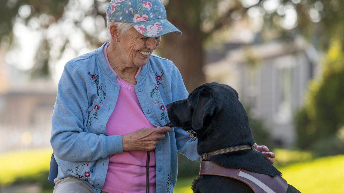 Jackie Young of Roseville pets her guide dog “Lopart” on Wednesday morning, Dec. 1. Jackie, who is losing her sight, says walking helps her feel independent. She turned to the Society for the Blind in Sacramento and its Senior IMPACT Project to learn to live independently. Society for the Blind is asking Book of Dreams for donations to provide each participant with a set of versatile tools to have at home, called a Senior Safe at Home Kit. The kit includes a liquid level indicator, digital recorder, talking watch key chain, bump dot tactile markers, long white cane and signature guide, along with training on how to use the tools.
