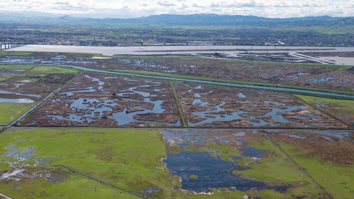 Aerial view looking south of wetlands on Sherman Island with the San Joaquin River in the background in 2019. County officials declared a local emergency for the island amid levee erosion concerns.
