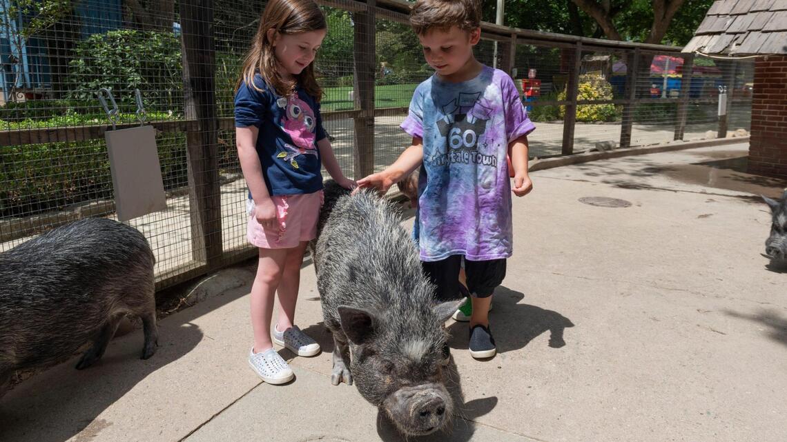 Fairytale Town reopening to the public Saturday as its day camp gets underway
