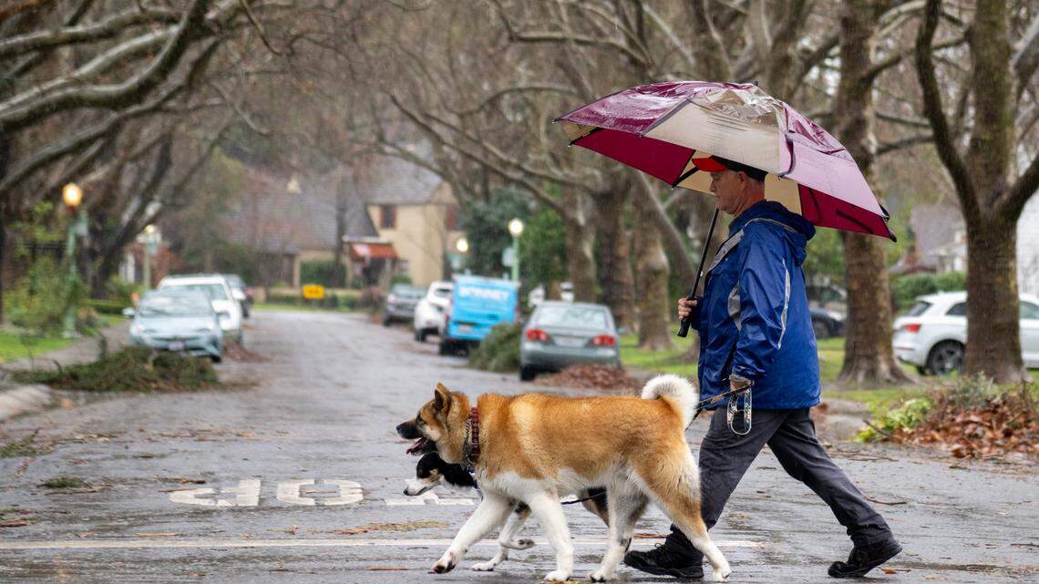 El Niño es probable este año. ¿Cómo afectará al tiempo en California?