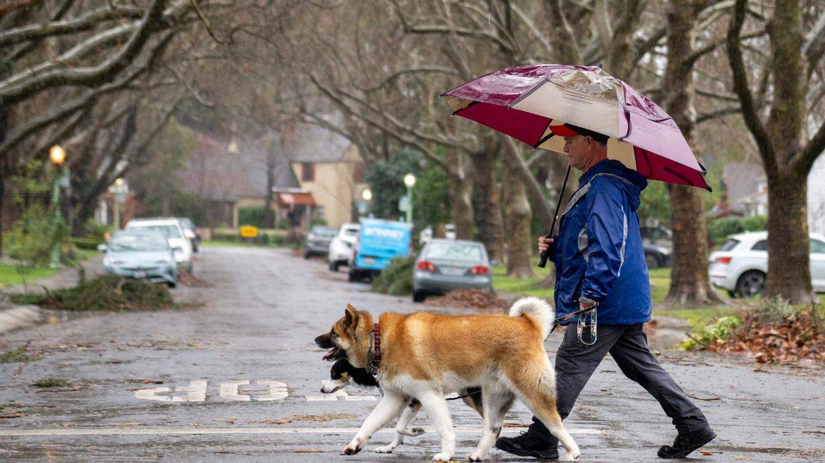 Un habitante de Sacramento usa un paraguas para mantenerse seco bajo la lluvia mientras pasea a sus dos perros en Land Park, en Sacramento, el jueves 5 de enero de 2023.
