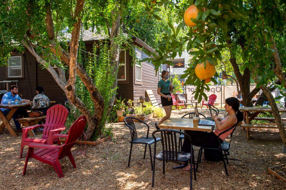 Persimmon trees planted many years ago by Monica Guillen’s father, Bonifacio Ulatan, now shade the patio and are used in some of the dishes prepared at the Tree House Cafe in West Sacramento on Wednesday, Aug. 11, 2021.