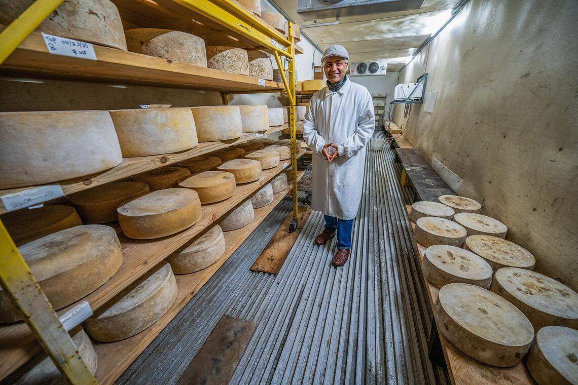 Abhinav Anand, founder of JUST Creamery, stands among wheels of Portuguese Topo, Gouda and Parmesan in the creamery’s cheese cave at his production facility on Wednesday, Feb. 18, 2026, in Wilton. 