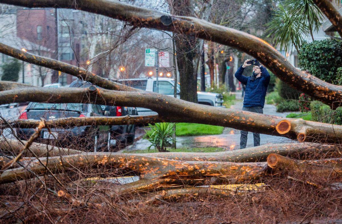 Logan Wolverton, 27, of midtown, takes a photo of the storm damage at the intersection of 25th and N streets in midtown Sacramento on Wednesday, Jan. 27, 2021.