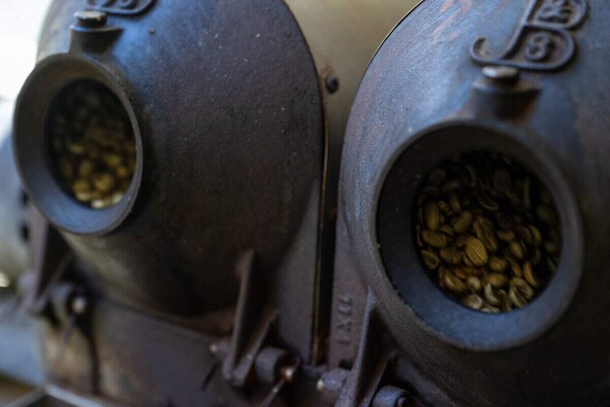 Honduras Reserva Pacavita coffee beans are roasted in a vintage roaster dating to the early 1900s at Harvey's Coffee in Davis in June.