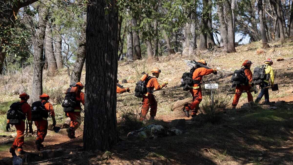 Inmates walk to a training area to cut logs at the Growlersburg Conservation Camp near Georgetown in 2024. The facility, built in the 1960s, trains and houses non-violent inmates to deployed to wildfires and other natural disasters.