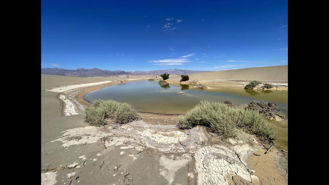 Pockets of water sit in low spots in the Mesquite Flat Sand Dunes after floods in Death Valley.