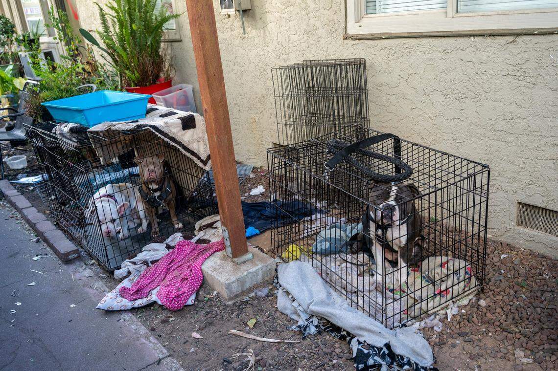 One of the tenants, whose door lock and knob were broken when she moved into her apartment after the fire, said she feels safer with her three pit bulls at the Palms Apartments on Oct. 25. Tenants say they often see drug addicts, and there is no on-site manager, so it doesn’t feel safe.