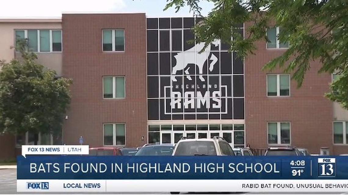 Teachers and students found their Salt Lake City high school infested by hundreds of migratory bats, Utah officials say.