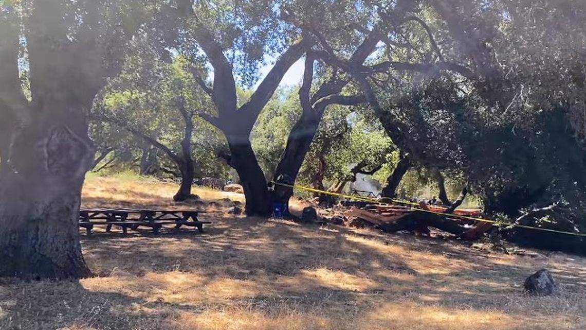 A fallen tree limb at a Santa Rosa park injured six people, including one with major injuries, California firefighters say.