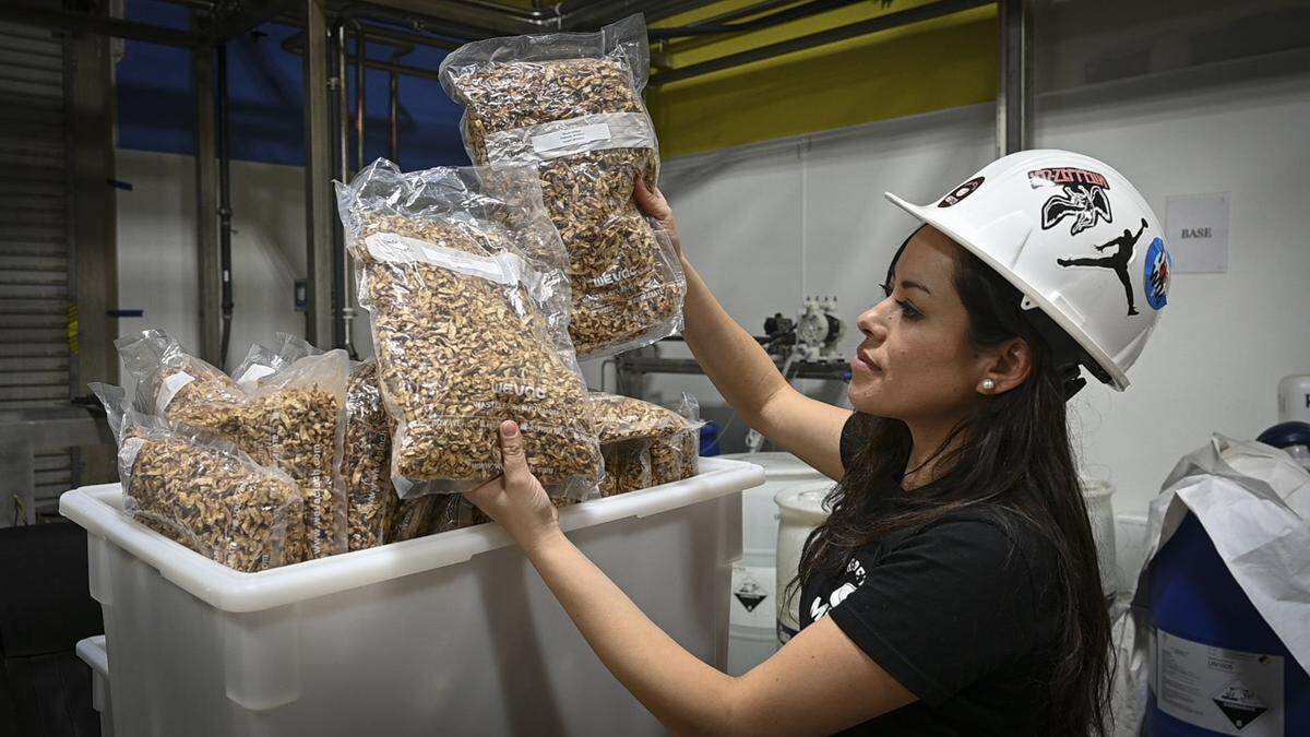 The Better Meat Co.’s executive vice president of operations Doni Curkendall shows bags of their plant-based meat product “rhiza” at their headquarters in West Sacramento on Feb. 24, 2022. The process starts with a fungal micro-organism, which is fermented until it transforms into mycellium, which is then cut, dried and packaged in airtight bags.