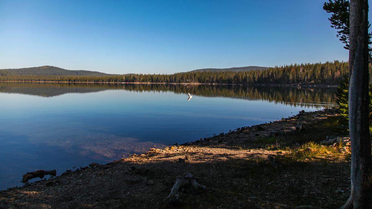 Medicine Lake has no known outlets, yet its water remains clear. It lies within the volcanic caldera of the largest volcano by volume in the Cascade Range in the Medicine Lake Highlands, part of the Modoc National Forest in California.