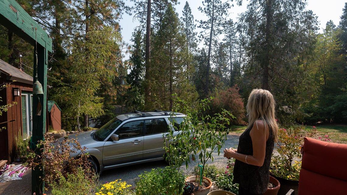 PG&E resumes tree cutting in California town that fought back. Activists aren’t giving up