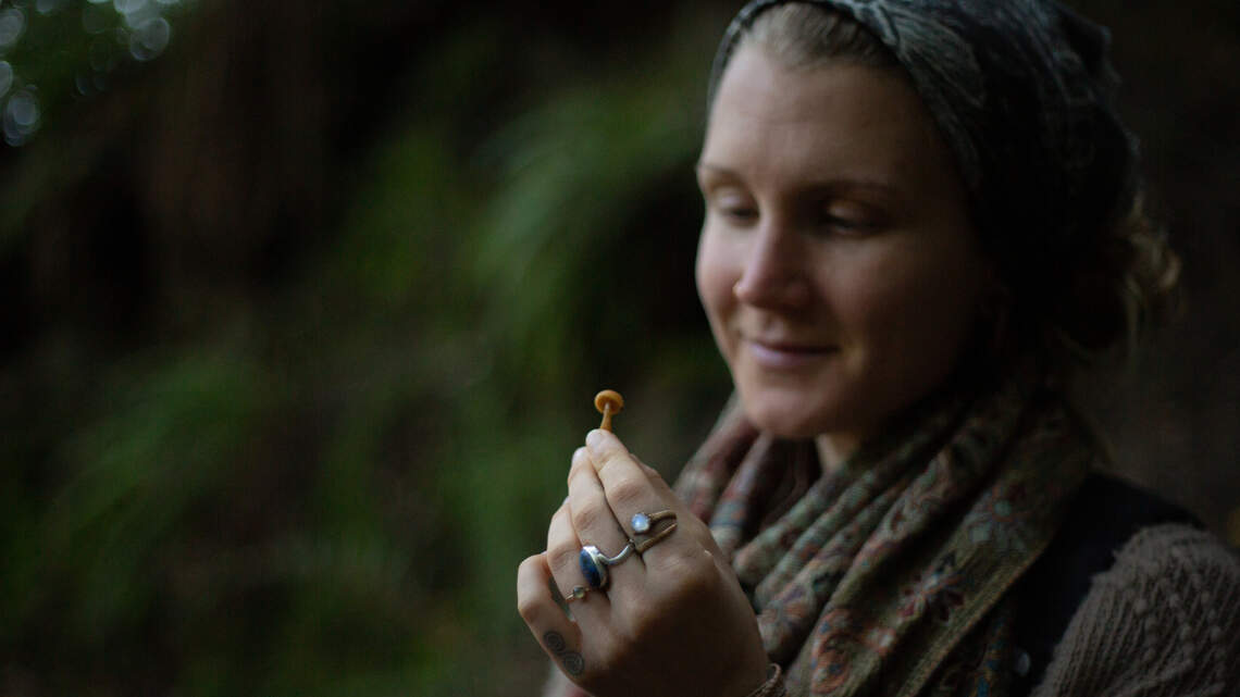 Mushroom foraging connects people to nature, but officials hope to stem treasure hunts