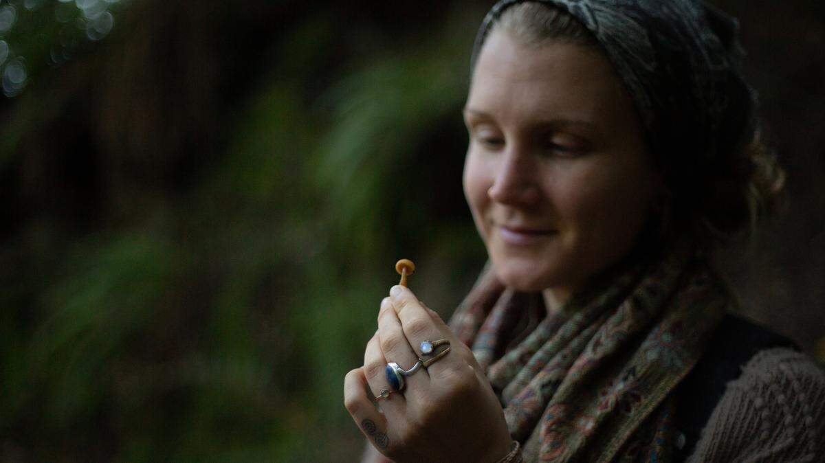 Taylor Bright has a degree in biology and is involved with Bay Area Applied Mycology, one of the many local mushroom clubs in the United States. 