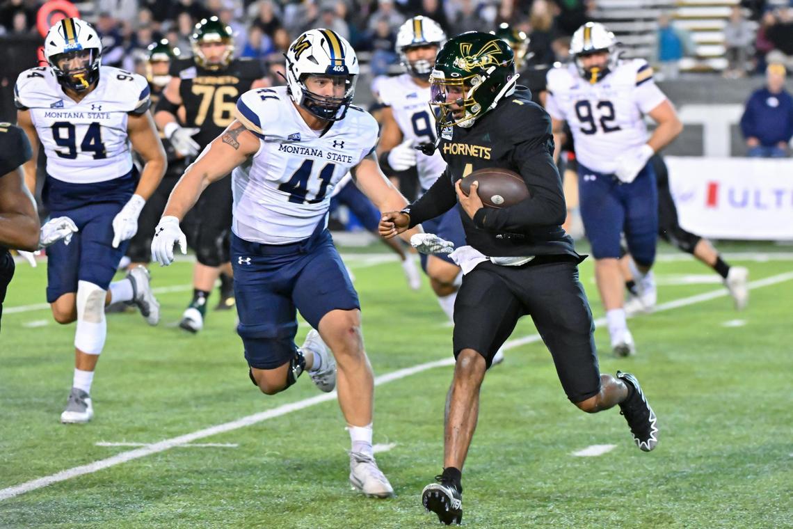 Sacramento State Hornets quarterback Kaiden Bennett (1) runs the ball against Montana State in 2023.