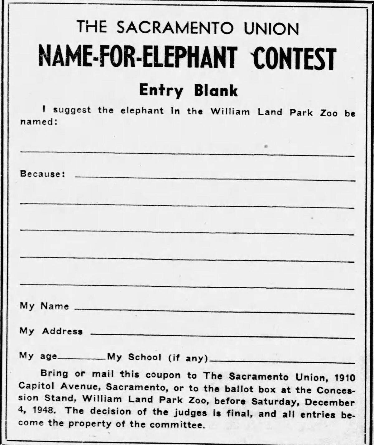 A Nov. 28, 1948, edition of The Sacramento Union, highlights reader-suggested names for the zoo’s new elephant. Lucky was an option because the female elephant was “lucky to be alive and lucky to be living in California.”