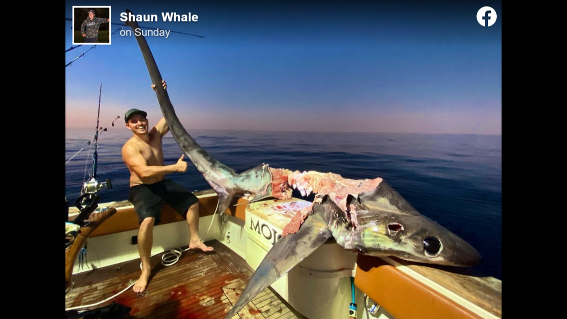 Anglers Sammy Hitzke and Shaun Whale (seen in the photo) were about 125 miles off east Australia’s Gold Coast when they reeled in this mostly eaten bigeye thresher shark.