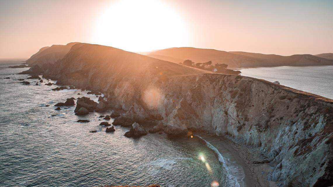 A Point Reyes National Seashore visitor died after being swept off a beach by a wave, California firefighters say.