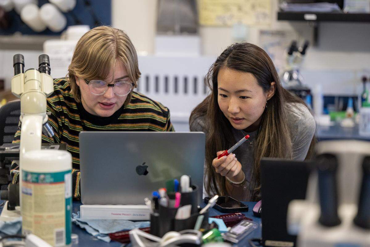 Sophia Lindemuth, a junior specialist, and Banhong Li, assistant specialist, look over a graphic with information pertaining to the diet of a salmon at UC Davis in July. 