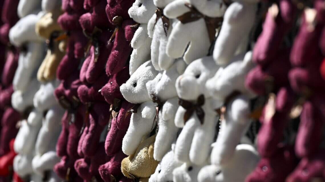 20,000 teddy bears blanketed the California Capitol Monday. Why they were there