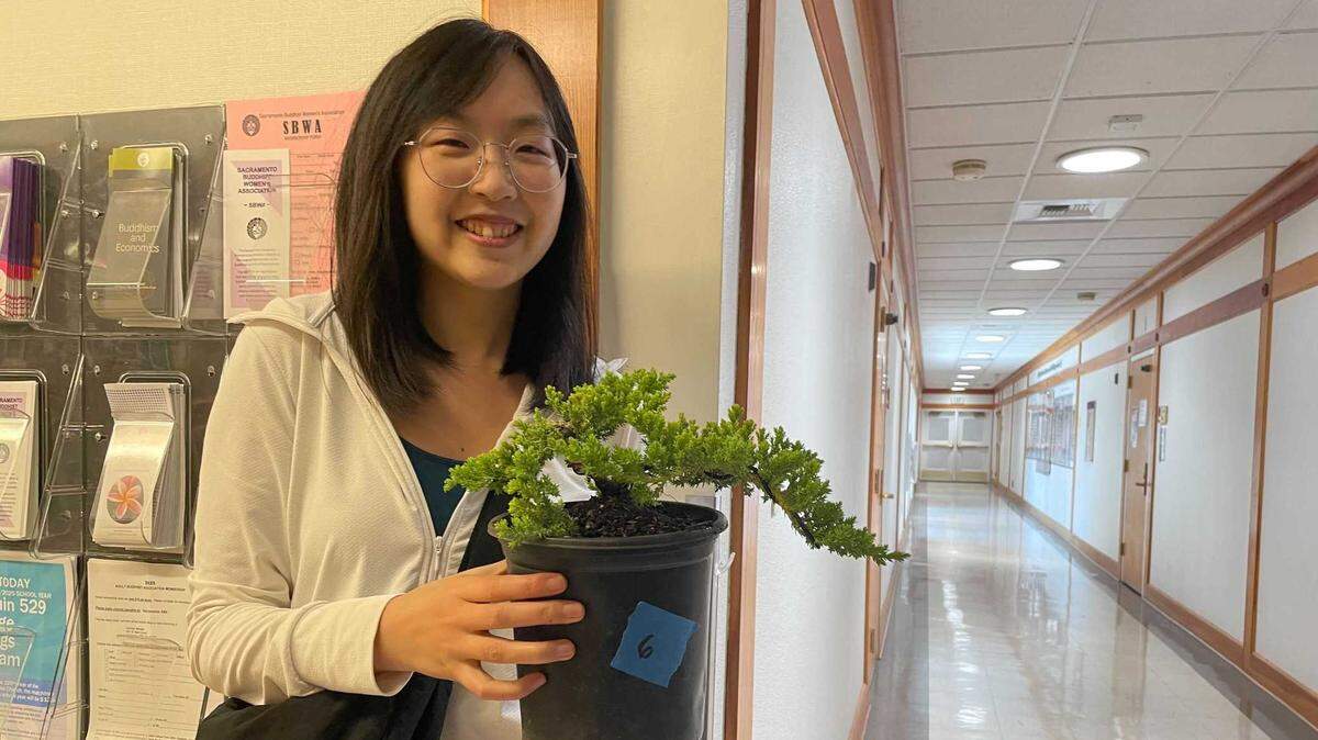 Stephany Ho with her bonsai at the Sacramento Buddhist Church in Land Park on Saturday. Ho was attending her first bonsai show with the Sacramento Bonsai Club.