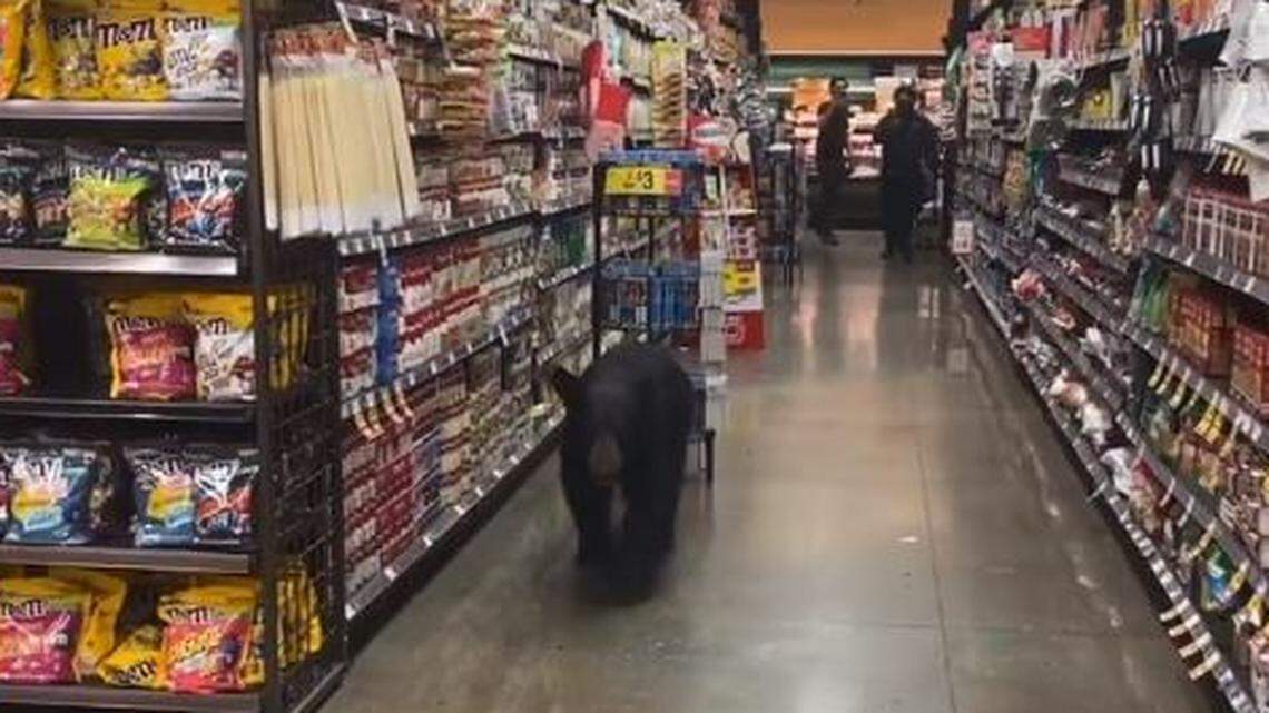 A bear took a stroll through Ralph’s supermarket in Porter Ranch, California, near Los Angeles, videos show.