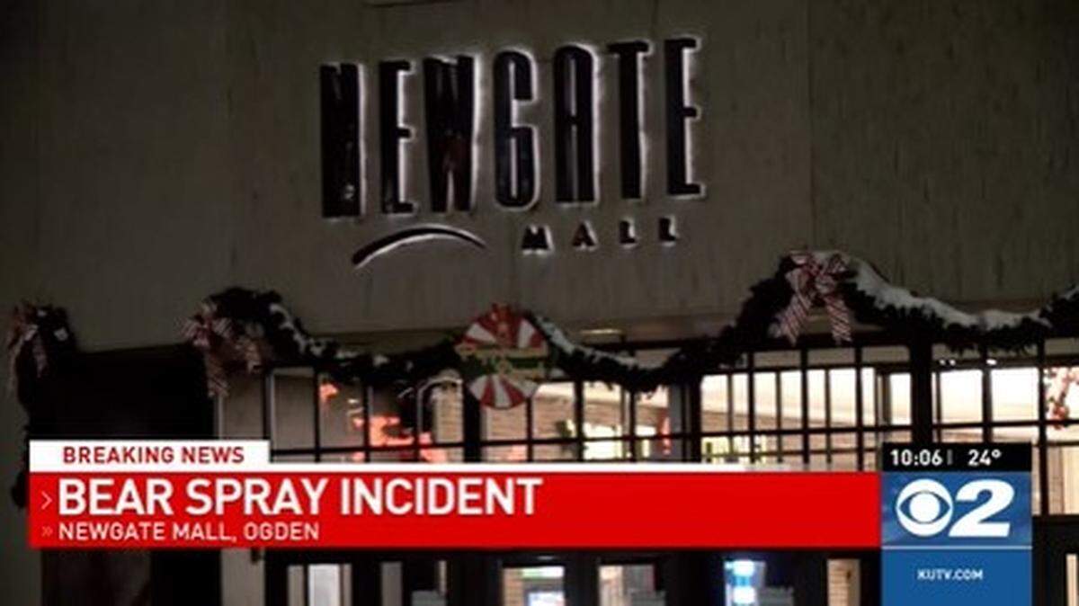 One person was hospitalized after someone released bear spray during a fight at an Ogden shopping mall, Utah police say.
