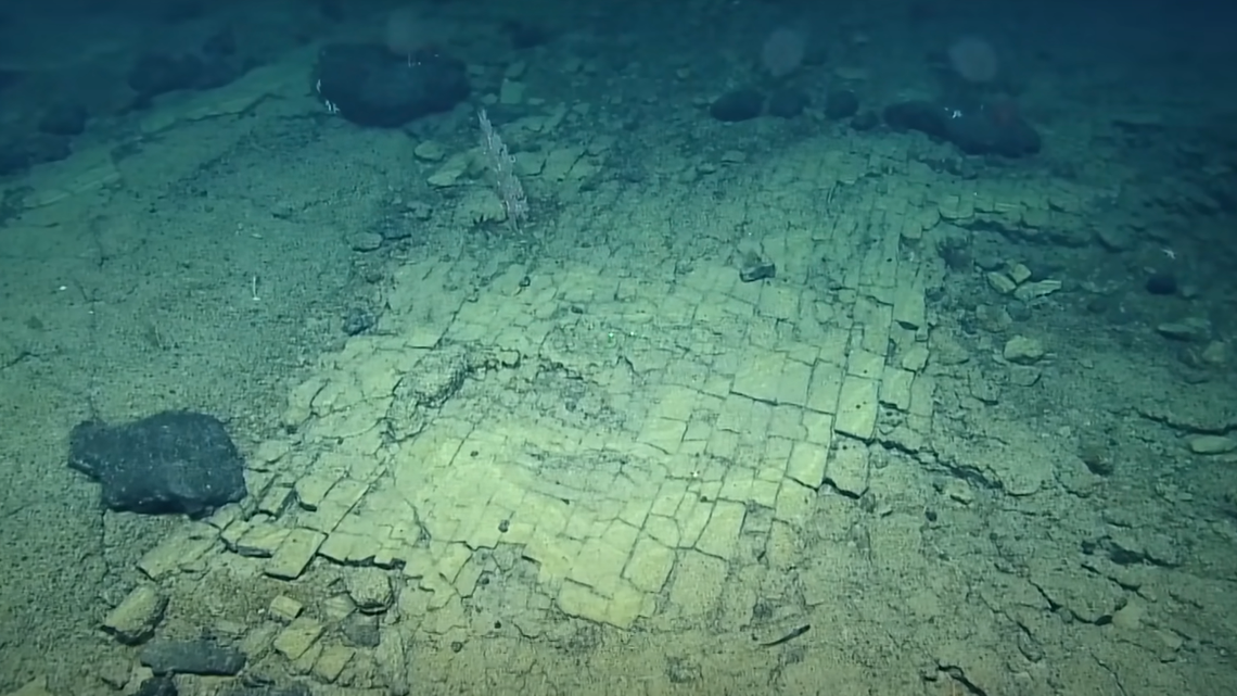 The discovery was made last month at the summit of a sea floor mountain in Papahānaumokuākea Marine National Monument, which encompasses 582,578 square miles of ocean.