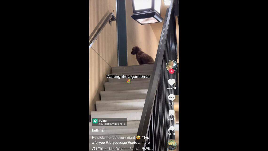 Theo, 2, waits patiently every night to take his girlfriend, Coco, on a date.