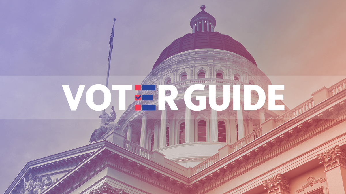 Voter Guide: Find out who’s on the Gavin Newsom recall ballot and what they stand for