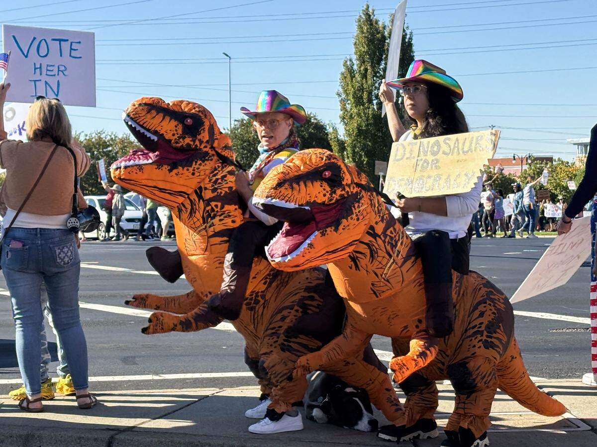 "Dinosaur for democracy" reads a sign at the Roseville "No Kings" protest on Saturday.