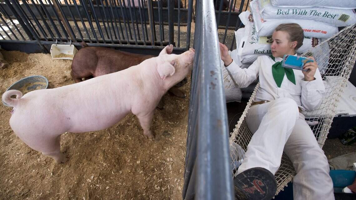 How COVID-19 changed California State Fair for farmers who have attended for generations