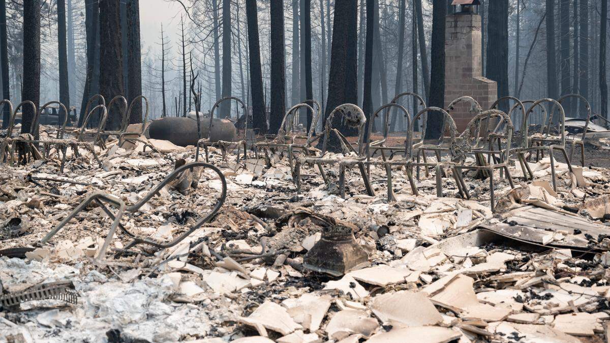 From donations to animal care, here’s how you can help victims of the Caldor Fire