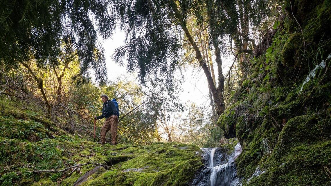 How to strike gold while doing your own mining in the Sacramento area