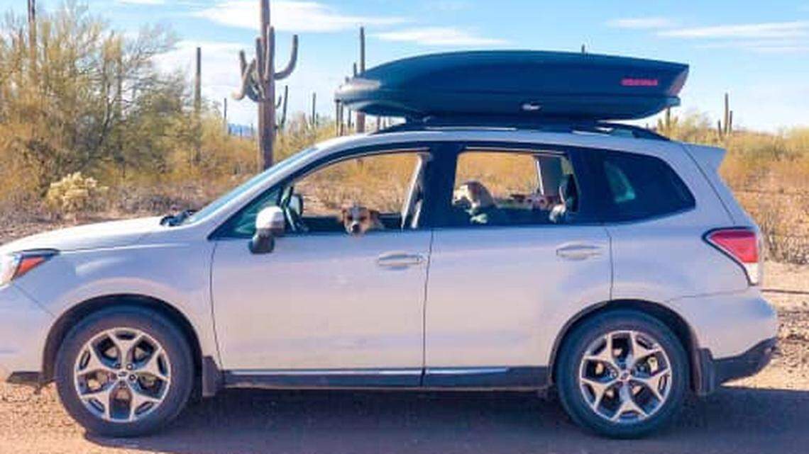 Alexander Lofgren and Emily Henkel were found in Death Valley National Park after they went missing during a camping trip, Inyo County Sheriff’s Office officials said.