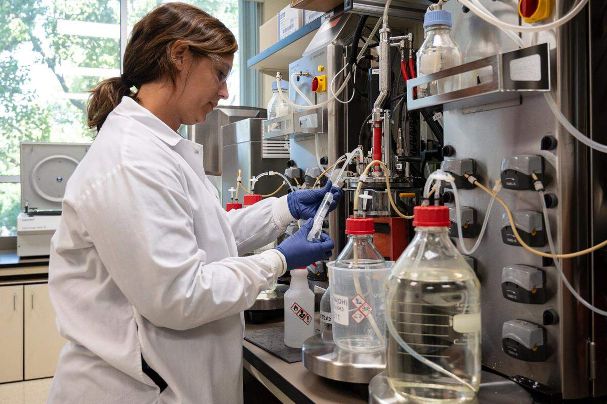 Researcher Selina Rodriguez works in the laboratory at the Oobli offices in Davis on Friday. The company makes a tea is sweetened with a protein called brazzein, which comes from the West African fruit oubli.