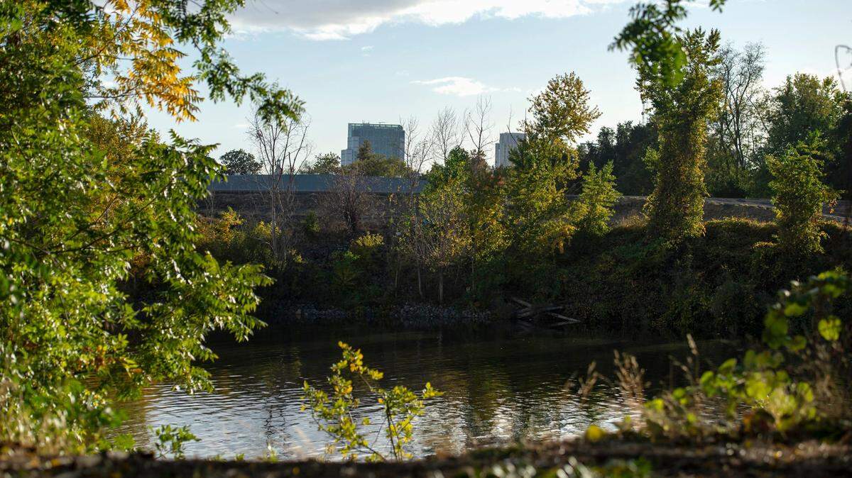 The downtown Sacramento skyline is visible on in 2021 from Camp Pollock on the American River Parkway. A man died of hypothermia near the site on Nov. 17, 2022.