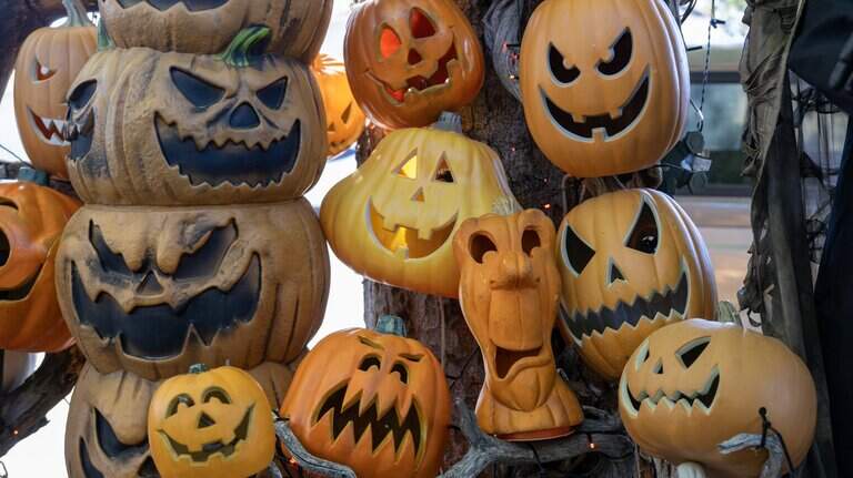 Sacramento ranked among best in US for Halloween. Here’s where it ranked and why