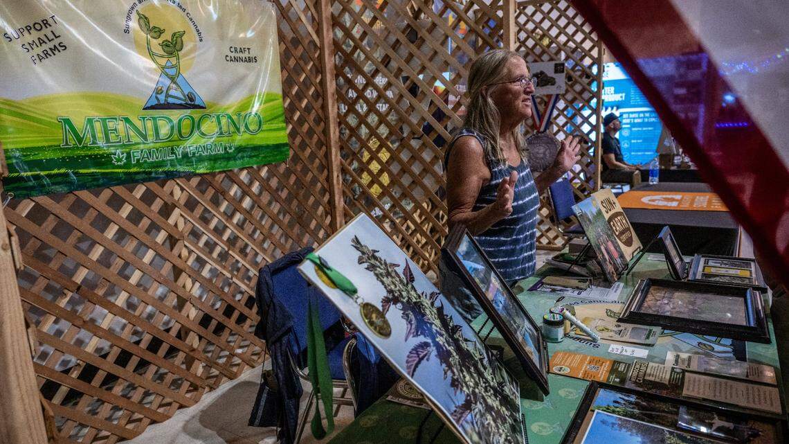 California cannabis competition sees fewer entries. Could this signal a collapsing industry?